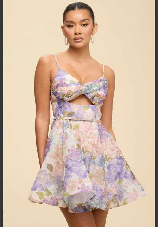 Clarissa Mini Floral Dress